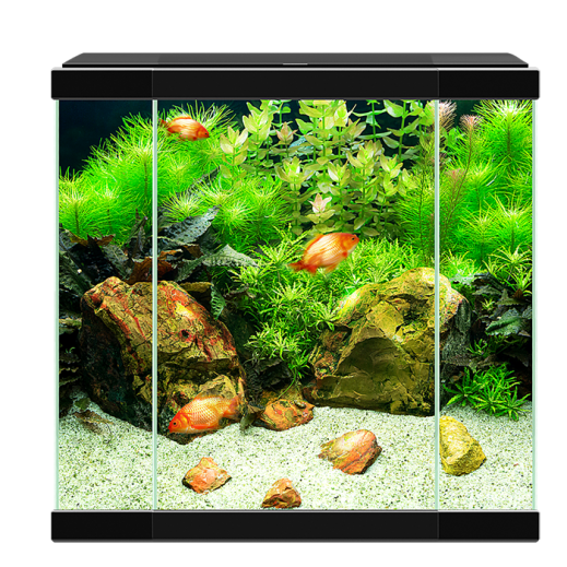 Ciano Aqua 30 Black Waterworld Aquatics