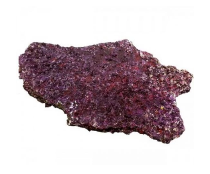 Real Reef Plate Rock