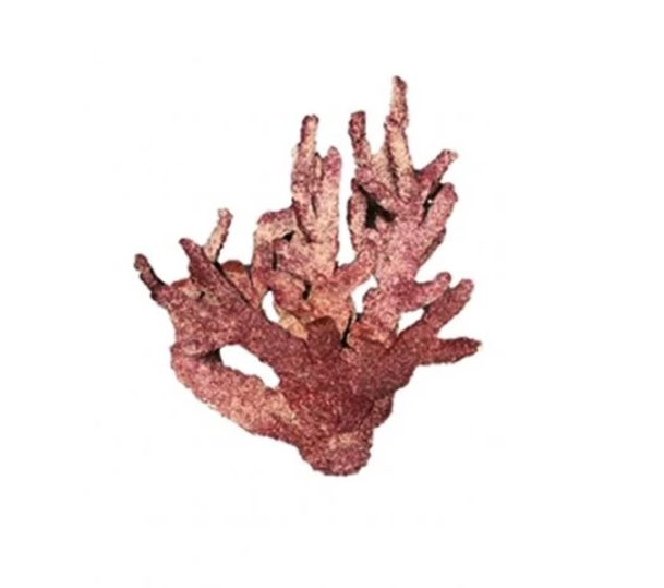 Real Reef Rock Branch