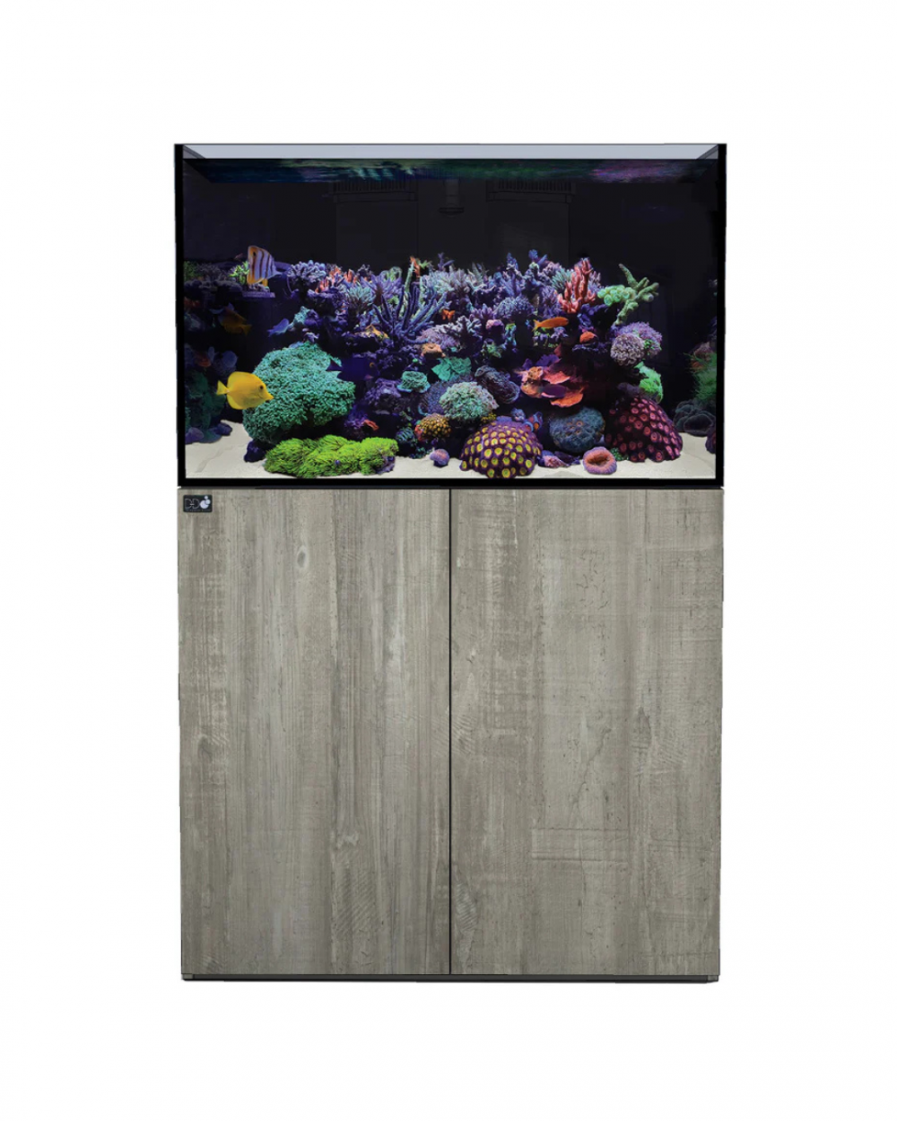 Untitled design (20)