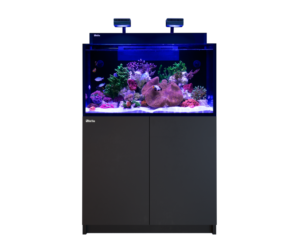 MAX NANO XXL_front black